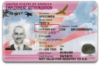  این یک کارت مجوز کار است که شماره USCIS در آن برجسته شده است.