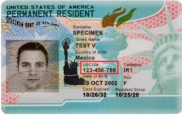 این کارت سبز است که شماره USCIS در آن برجسته شده است.