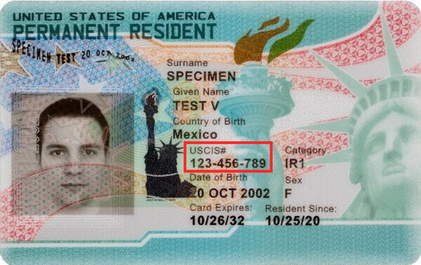 Il s'agit d'une carte verte avec le numéro USCIS mis en évidence.
